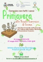 slideshow
